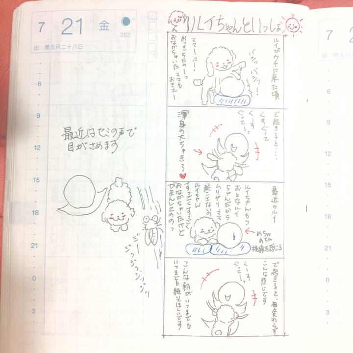 6d7786e0 39cd 46cc 82a5 8f48b5d7e5eb