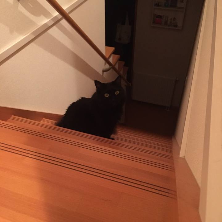 6d77f5a7 14f0 4539 bd92 e14d0fc20b6c