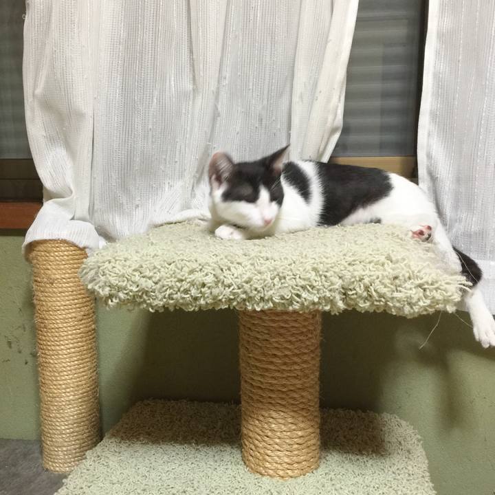 6d7826f6 b04a 4538 abdf 0680a549bcac