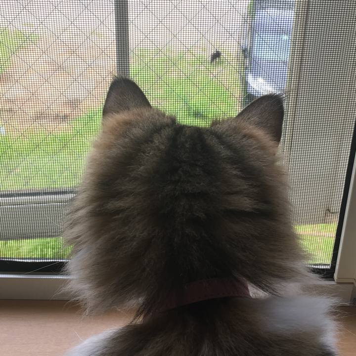 6d788136 ac69 412a 8945 ba565aea2c37