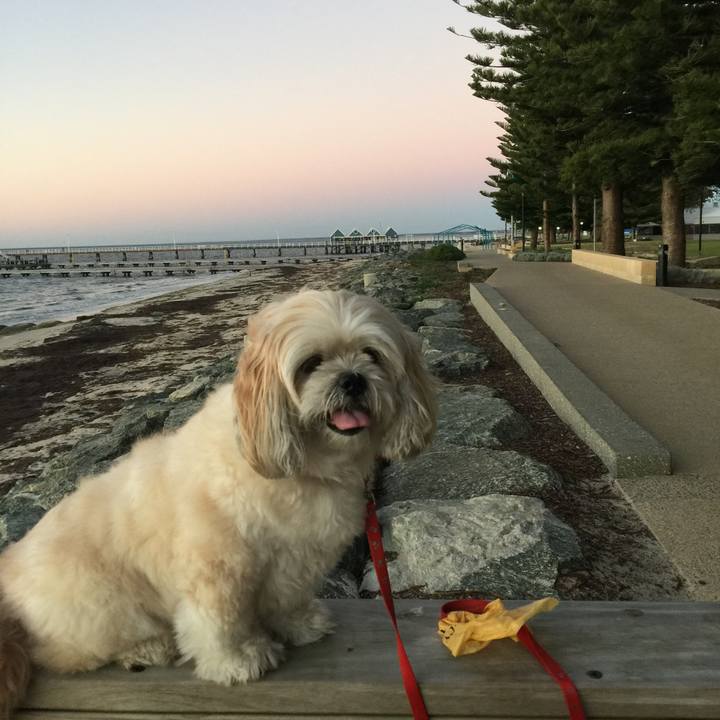 6d78a75a ebb5 489c a2aa a97828b9d60c