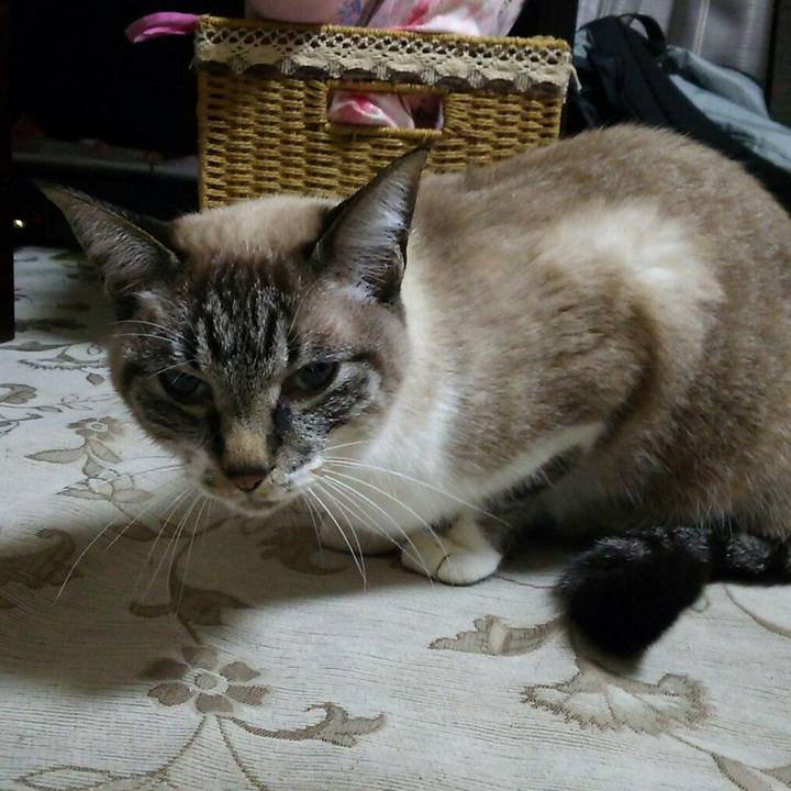 6d7a1095 0ecf 4ee2 aee2 5d01092164b3