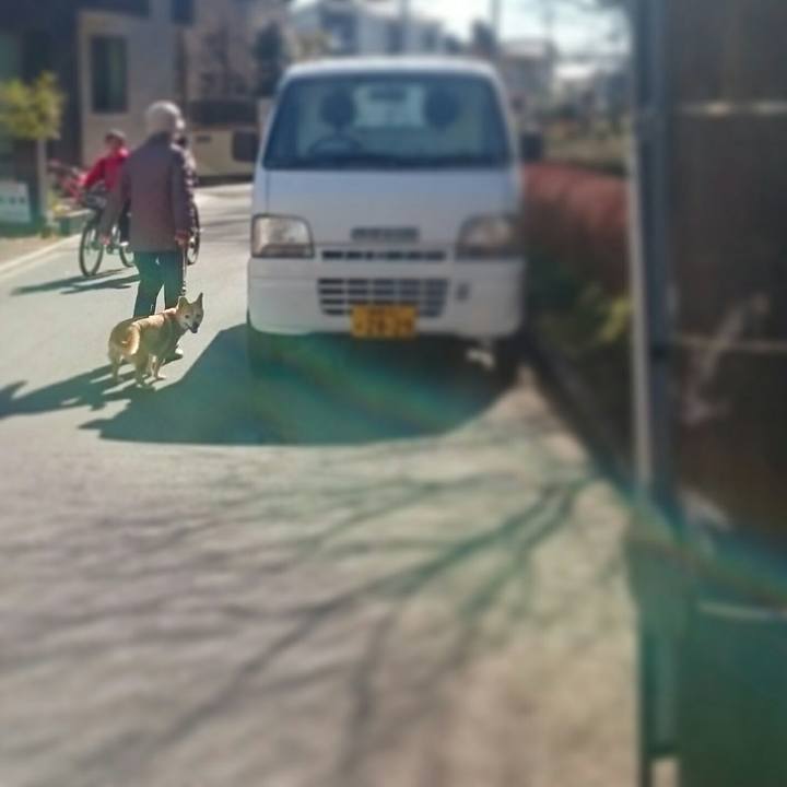 6d7aa934 73d4 4c46 b1d4 79a5b7d8f5c4