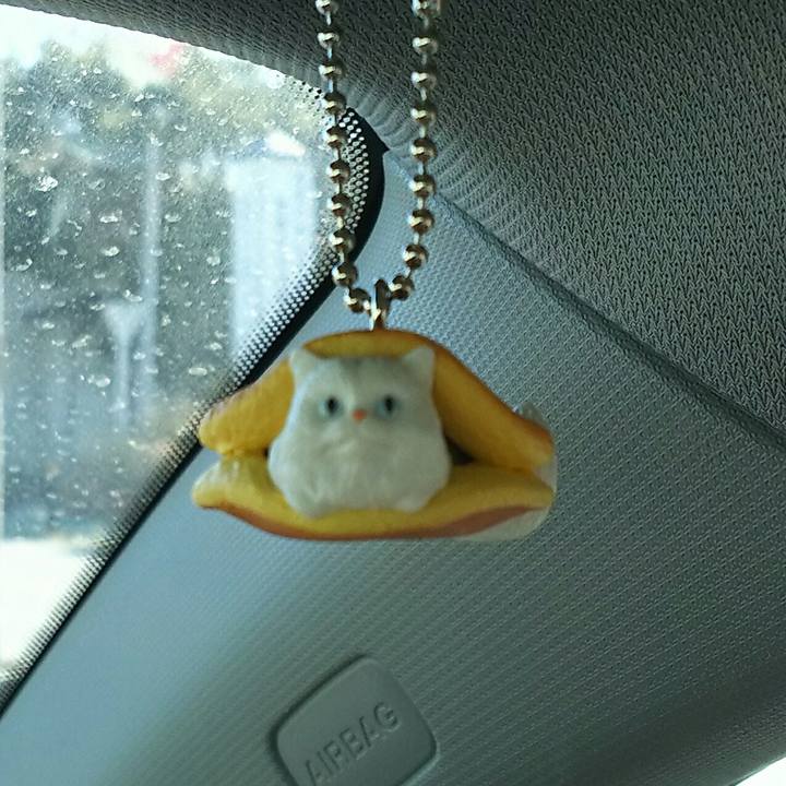 6d7b53ef 6b0c 4c0c bfeb 4a988aad80a8