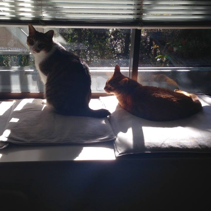 6d7b739c 426a 423a be62 1dd1deb13360