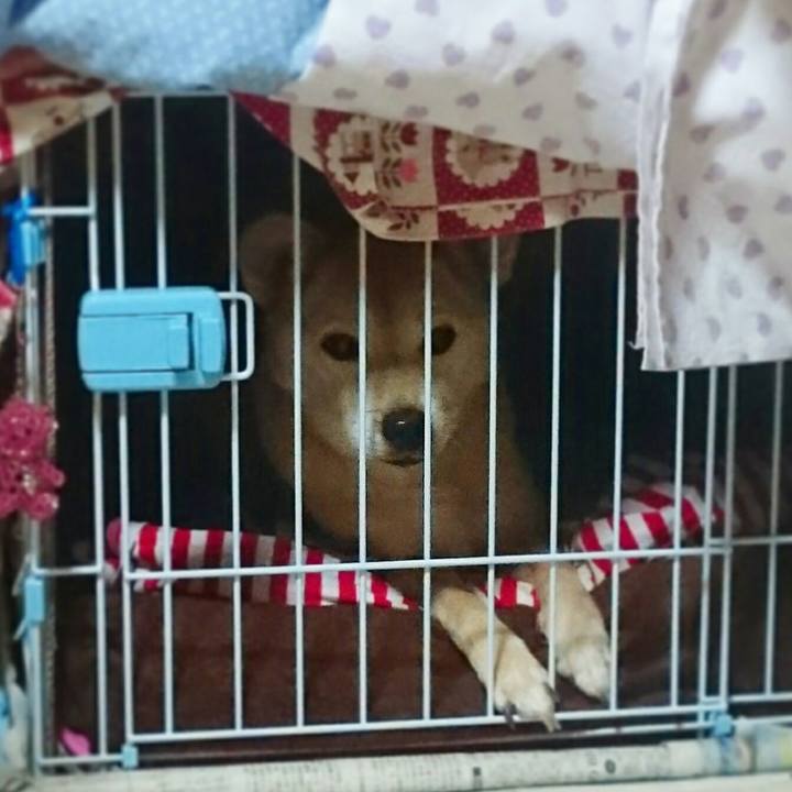 6d7ba5d4 94ad 4f41 aeff 832462d71d0b