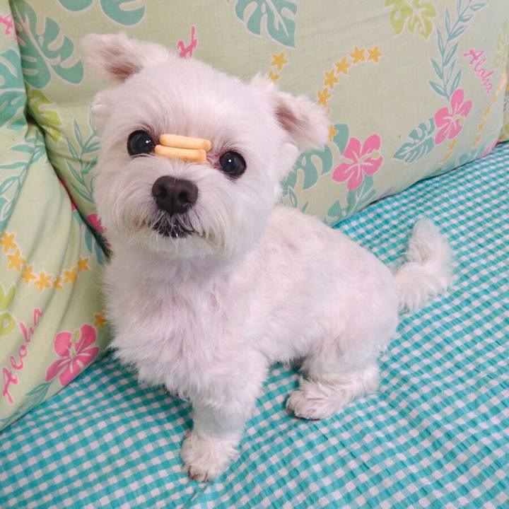 6d7ba753 7c66 4e66 b4d6 00d1d68d7b12