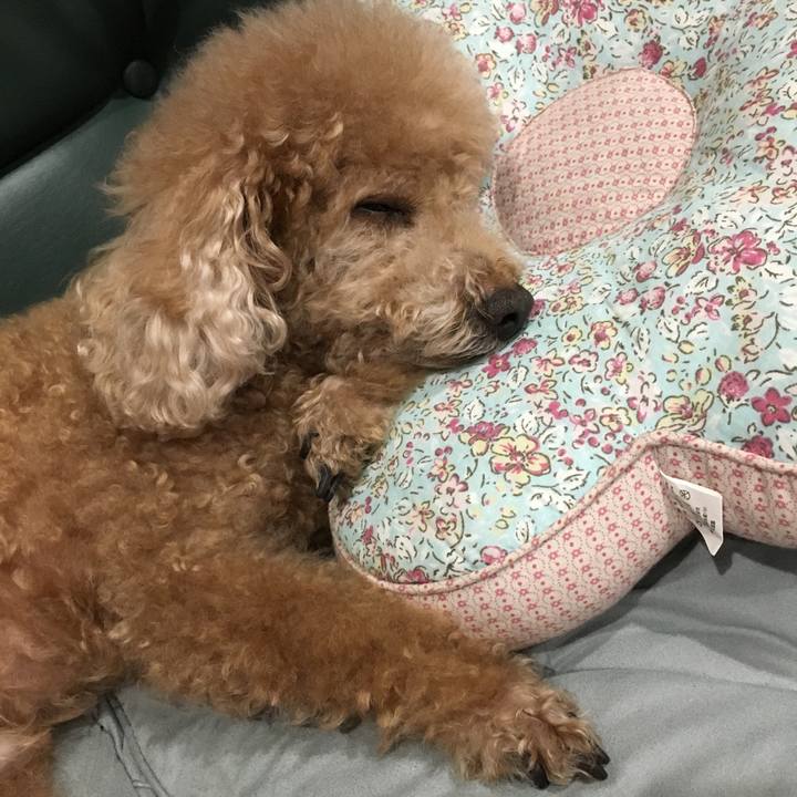 6d7c2205 c818 4db0 9364 c20934df02e9