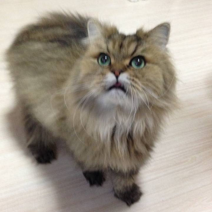 6d7cba4a 31e5 40f9 9b4b 6f639c5d367e