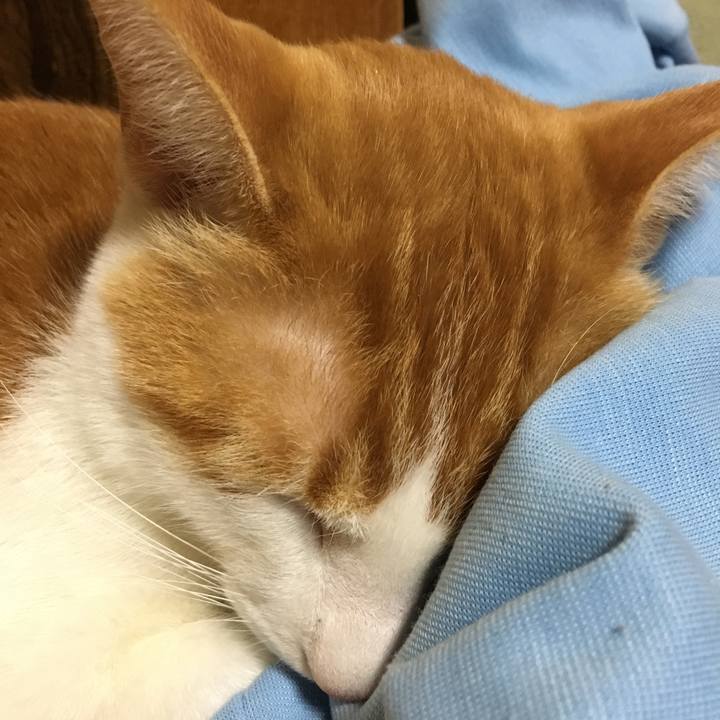 6d7eab2b 09c1 4d4c acfb c7fb101d3960