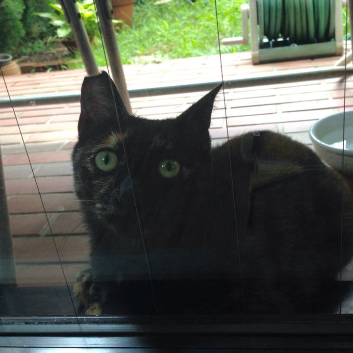 6d7eb682 9e71 41ef a4dc 113759b6bd88