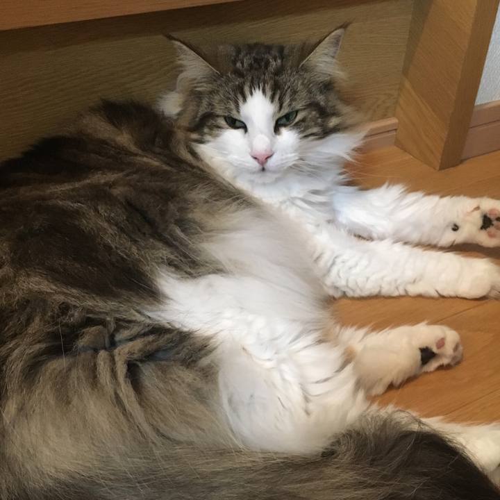 6d7ec1a2 9da5 470d a58f 502d09c49dd5