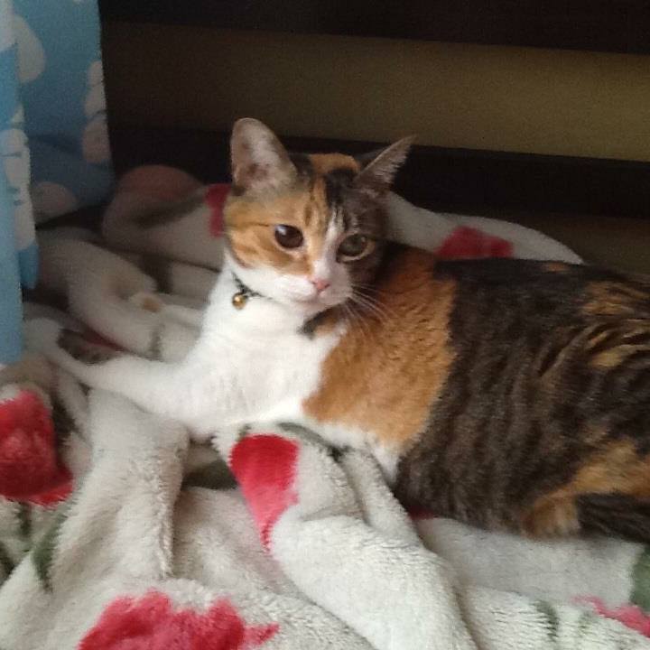 6d7ee53e 03c0 466c 9181 f551b5a8c5d0