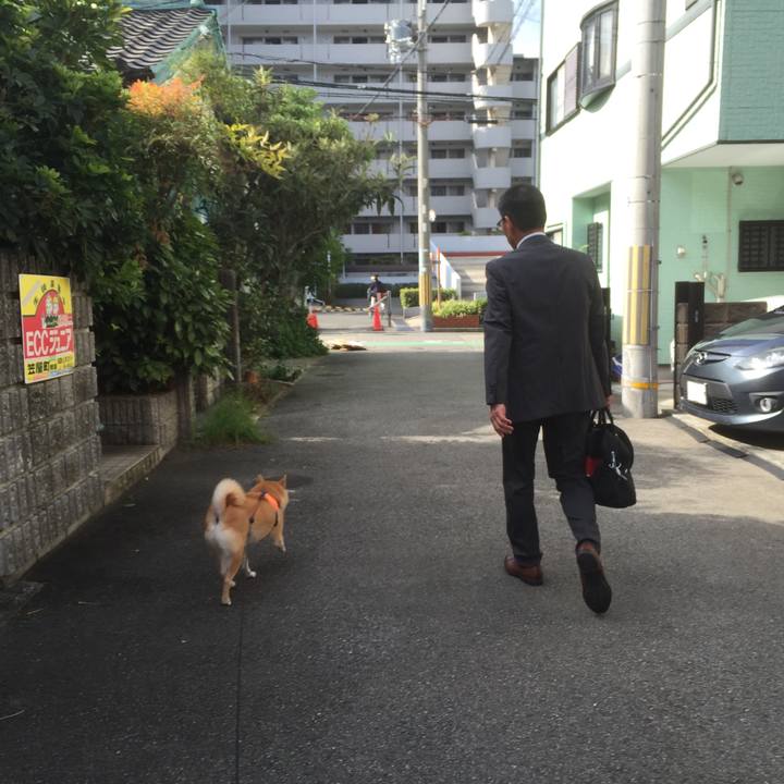 6d801128 7d95 4845 87ea 765b9f8eaa7e