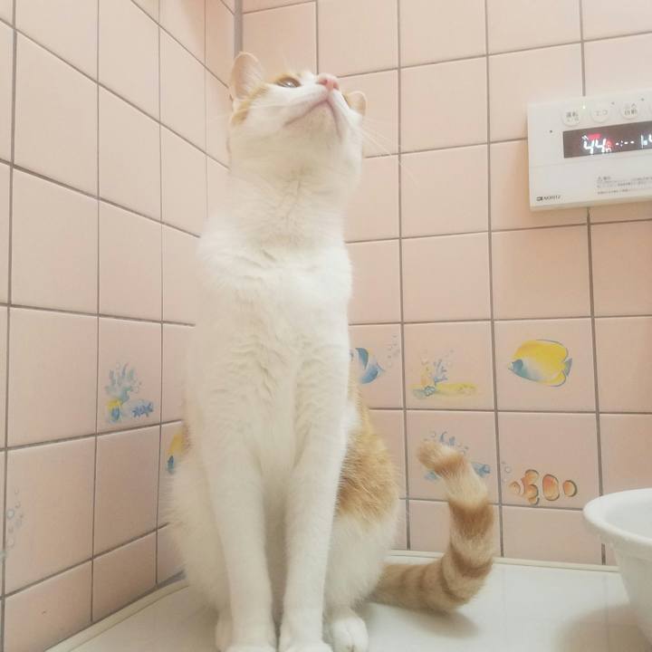 6d805fcc 1123 4bdf 8550 f50a4773515a