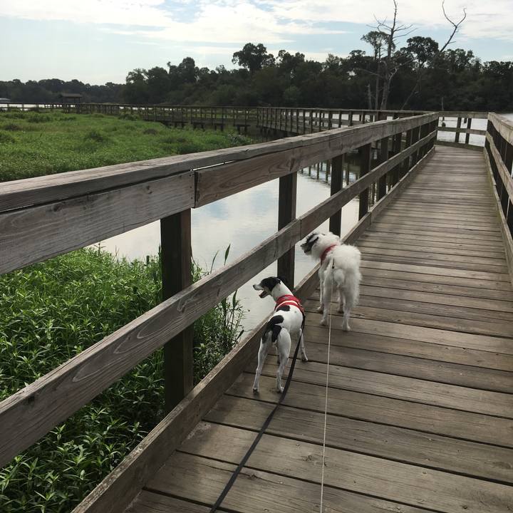 6d80c9cd 1a85 40a7 99ed 165d6d905b31