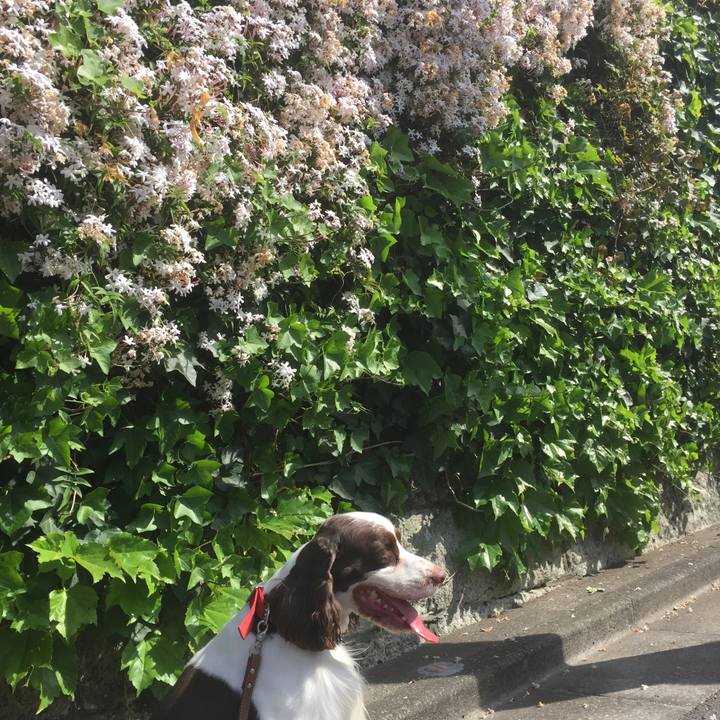 6d812f83 2385 4edc b955 fd3a14120bef