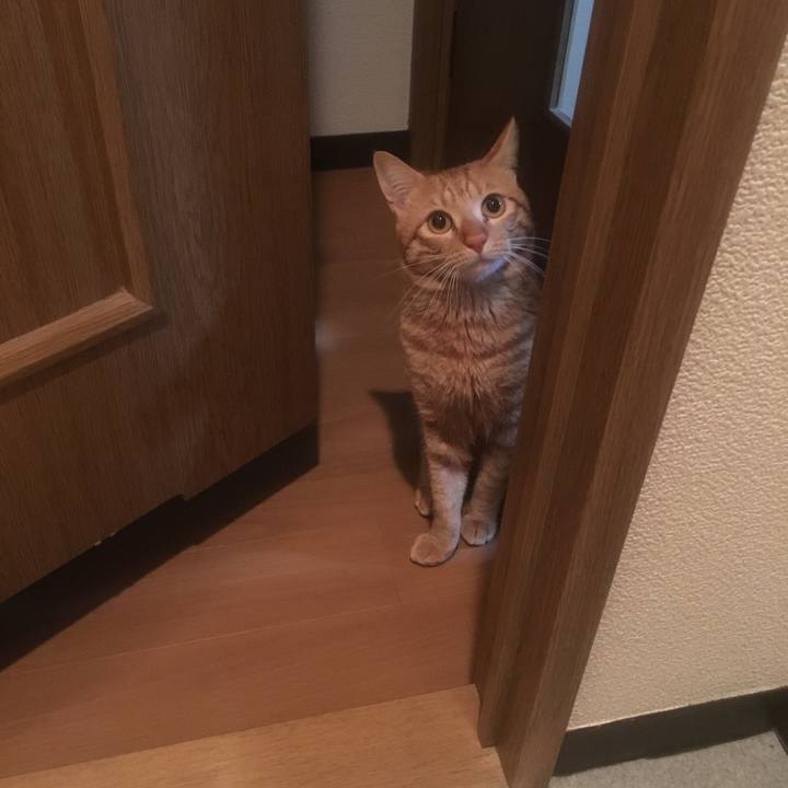 6d8159fe 8ead 4081 9c62 ef33772ed85f