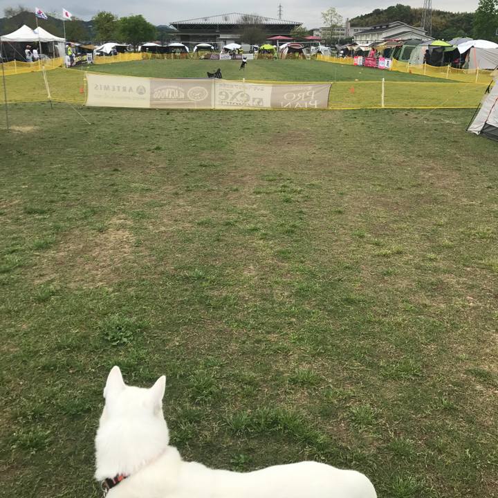 6d816e9e 5b32 4b41 bc68 fdae47df7564