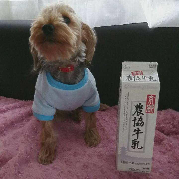 6d820720 ea6c 4088 ab85 24c3f1c20e5f