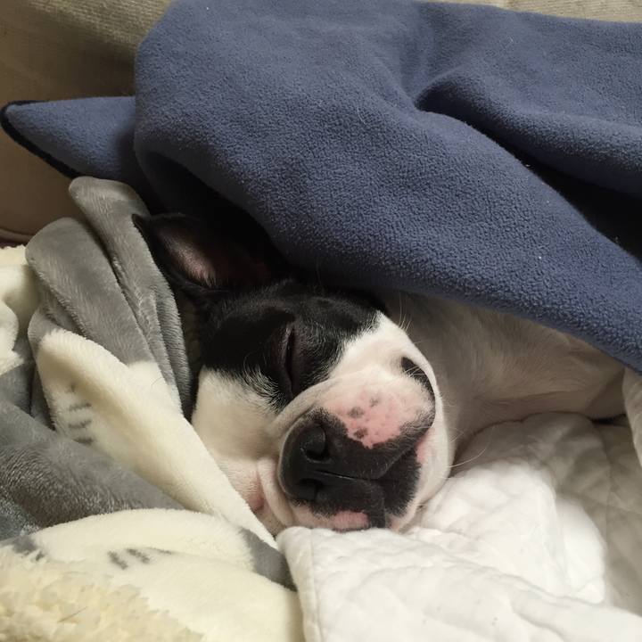 6d82688a 6348 4c16 866b 011e210cd1e2