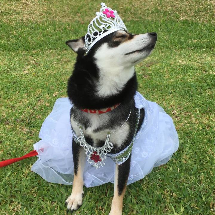 6d82ac43 3bc8 4296 add8 7597e61cf3e8