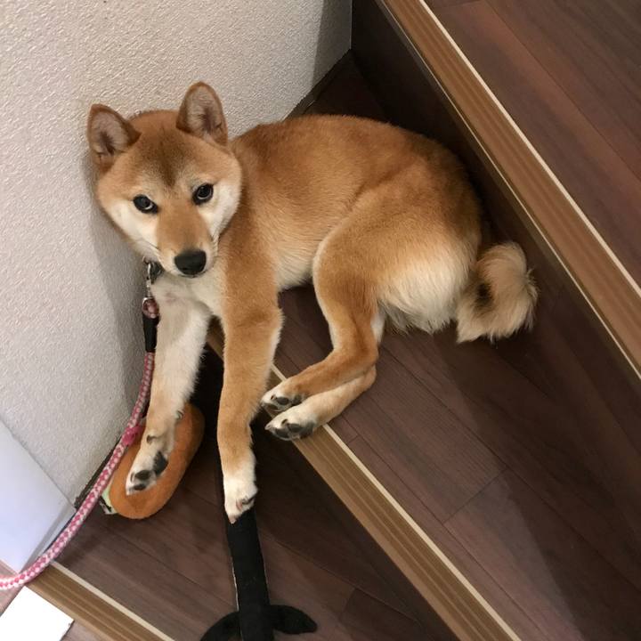 6d82bfb8 8f67 4b11 b4e8 f89284eaccbb