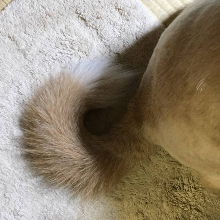 6d82fea0 a21f 4ce6 97da 6f6480c4e0a5