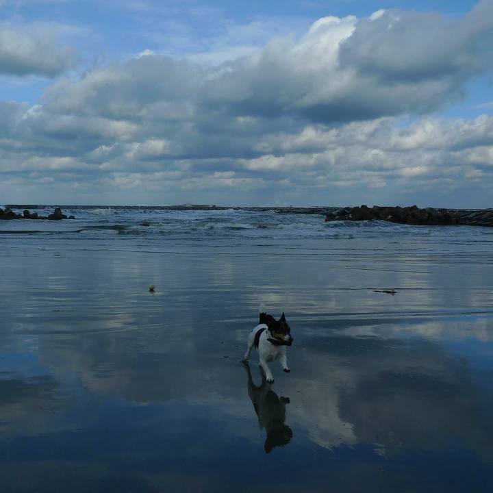 6d831f5c 832f 4cd7 a3ea 318549b7338f