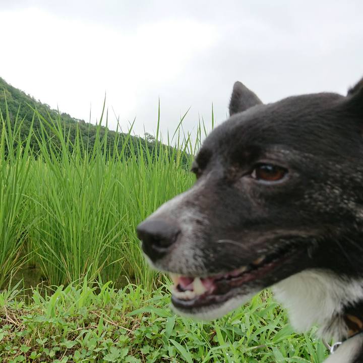 6d83f6c7 d52b 4321 855e 8b3fc0146c37