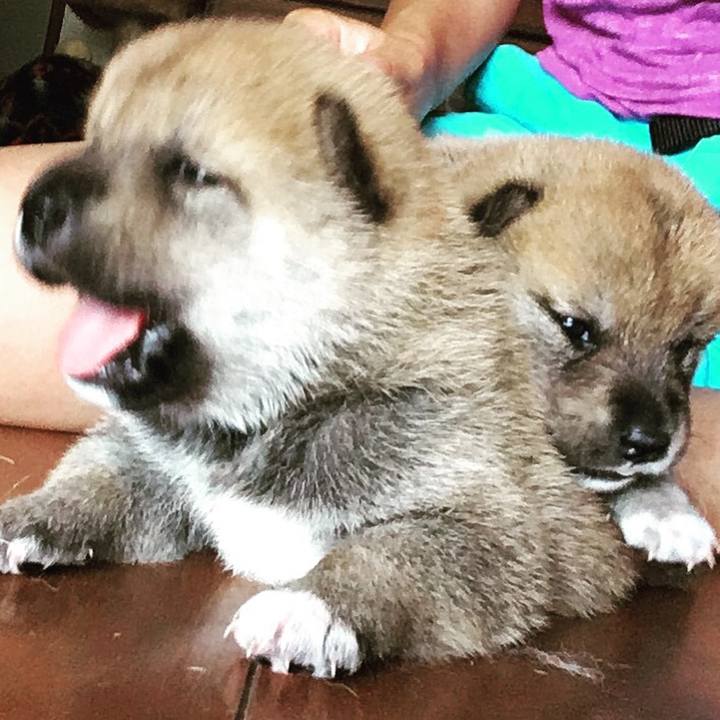 6d846b3c 7eff 459c 826e 9f82ee3308e9