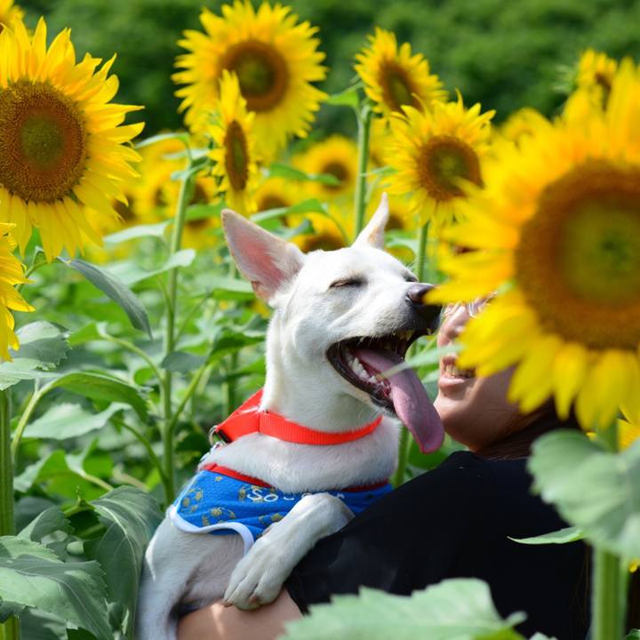 6d84cbd1 675a 44a9 ab4e d4932fe0c06d