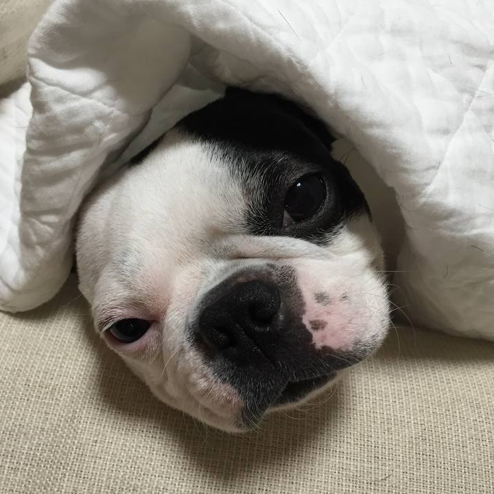 6d851388 2ed9 42f9 a726 f5eec0d9c9c3