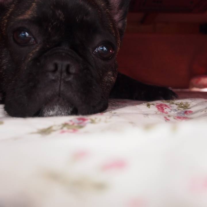 6d85ef21 3448 4512 81c0 04642bab67f4