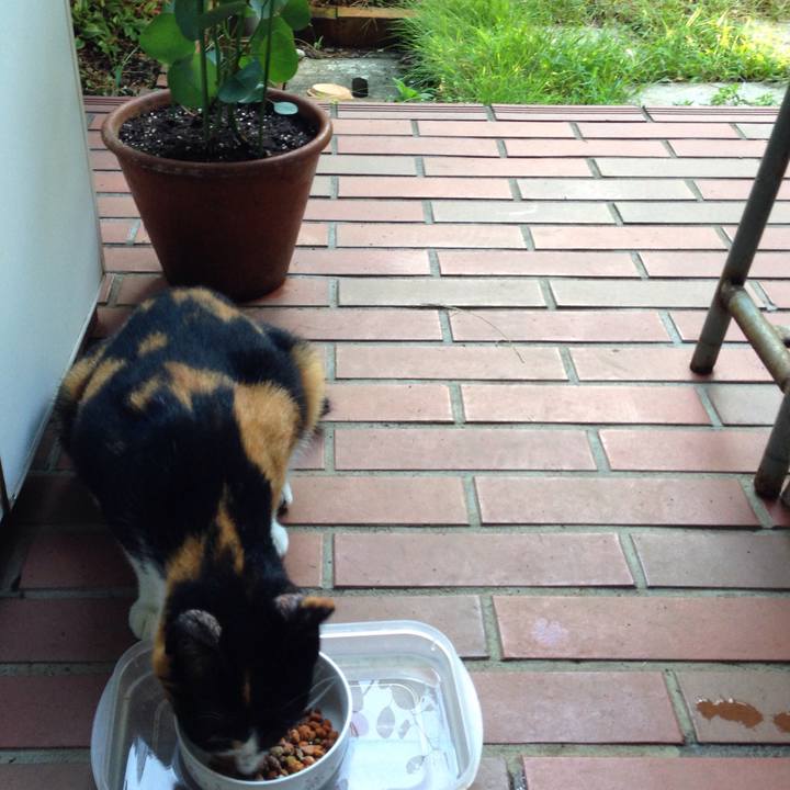 6d8778b5 2455 4053 bbef 230c319a12e6