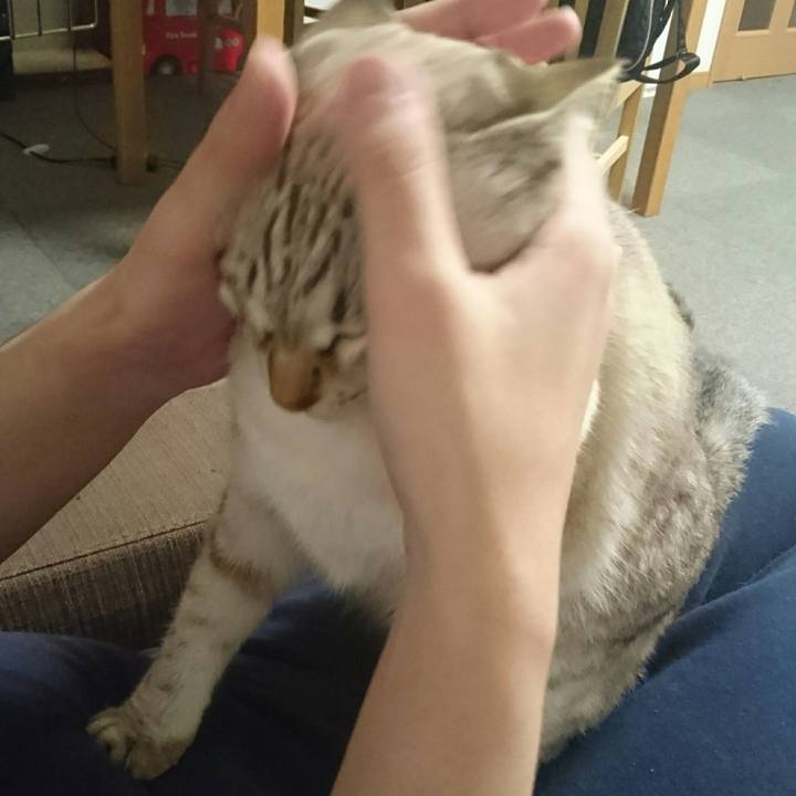 6d8920a5 f753 4111 9b13 cd87d5db916c