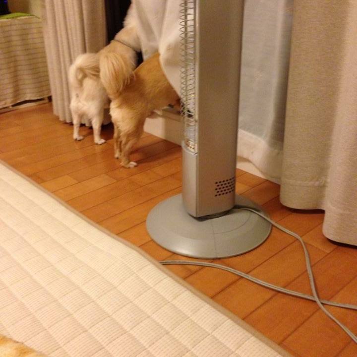 6d8a8819 9698 4190 ade3 eb20f902f764