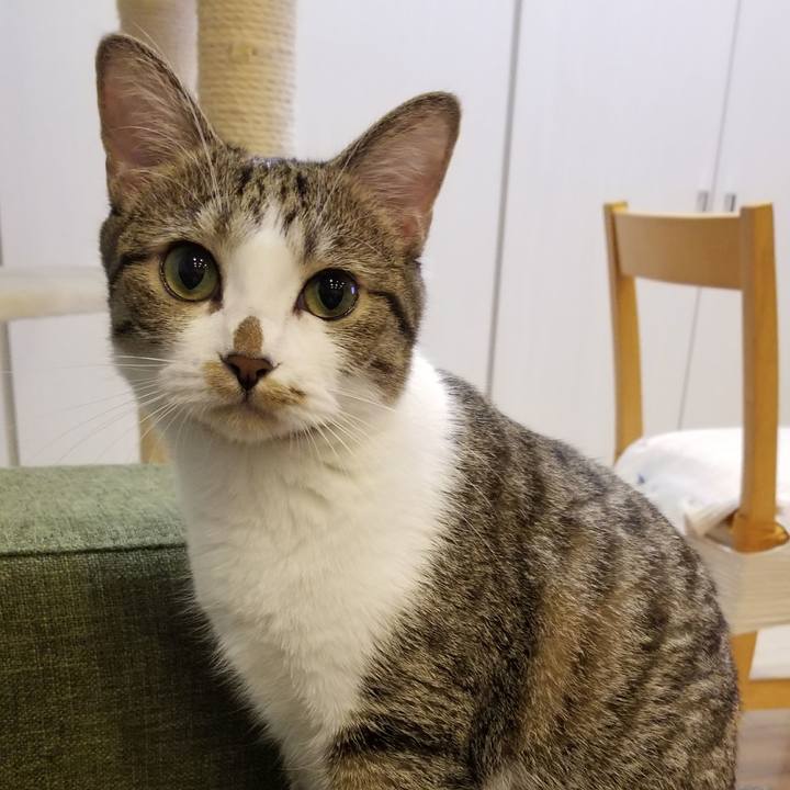 6d8b577d 6de1 420d a654 ab6c9118ca66