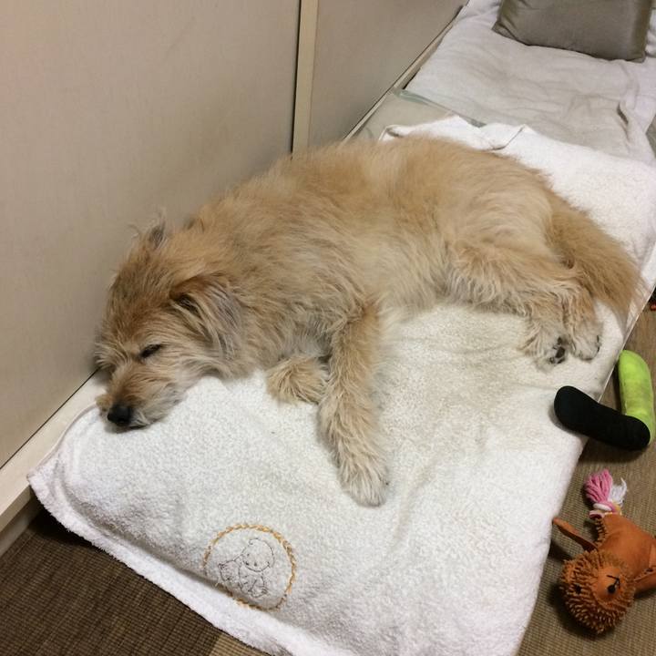 6d8b954a 1ef5 4806 85cc 93582ab6f649