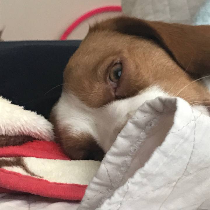 6d8babd4 e0cf 42fc 9502 0855052c3cf6