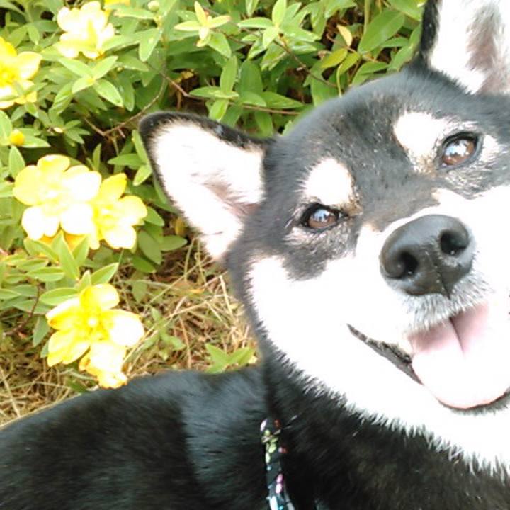 6d8d0c77 f3ac 44e6 9cd2 91af7ad608ae