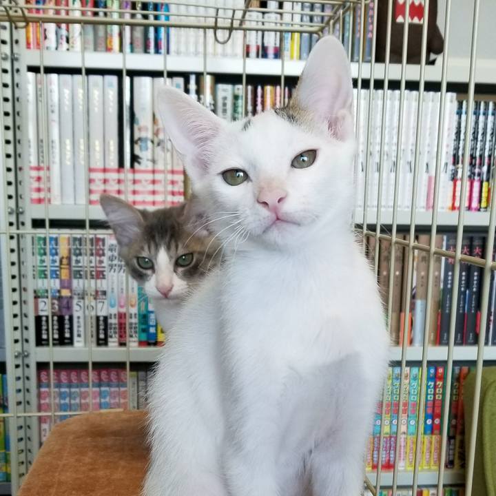 6d8d1593 bff8 4298 85d0 3928b492bbf1