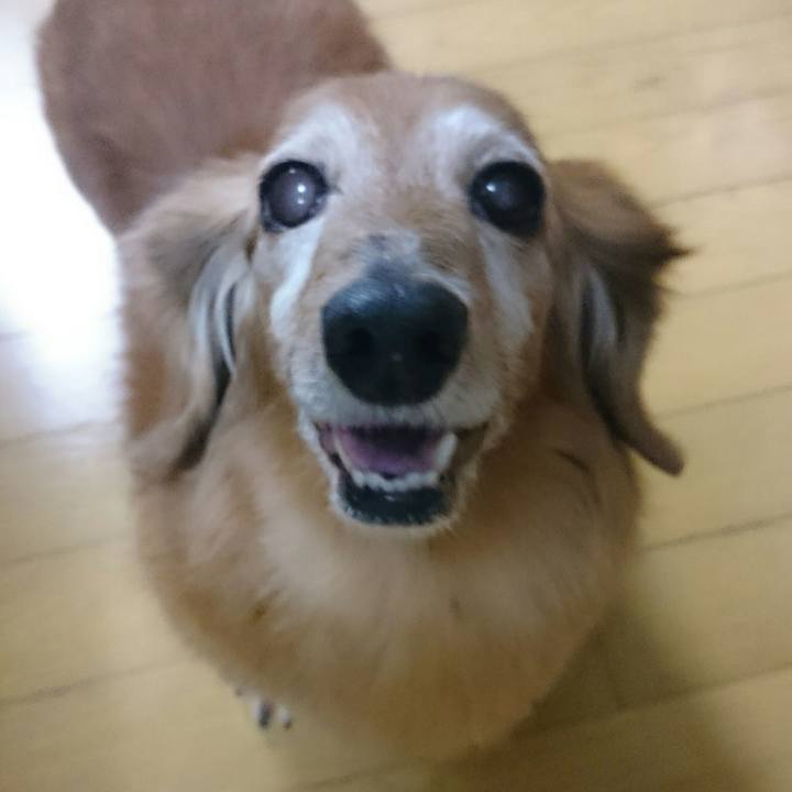 6d8d4538 75ac 4dbb 9d37 c42698bb56dc