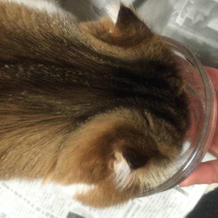 6d8d62e6 3377 4fd9 bb4b 848783e322cf