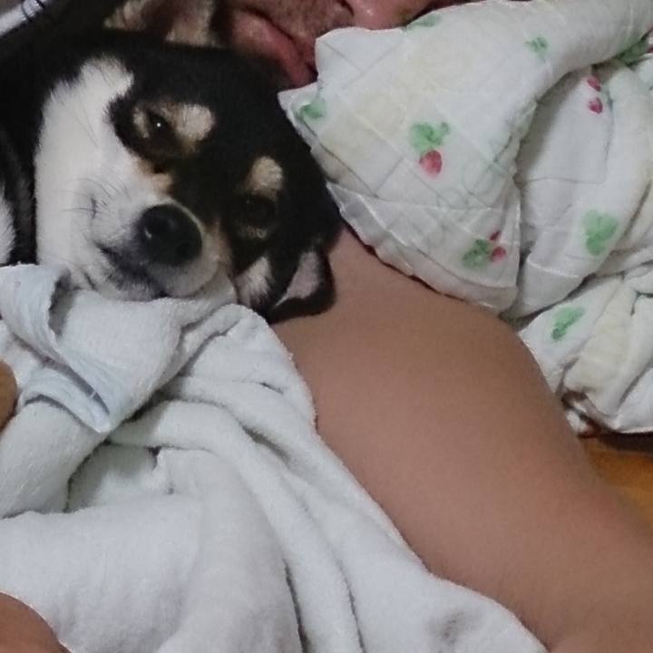 6d8d8400 7a84 4b6a bdce 27cc2a5c9b82