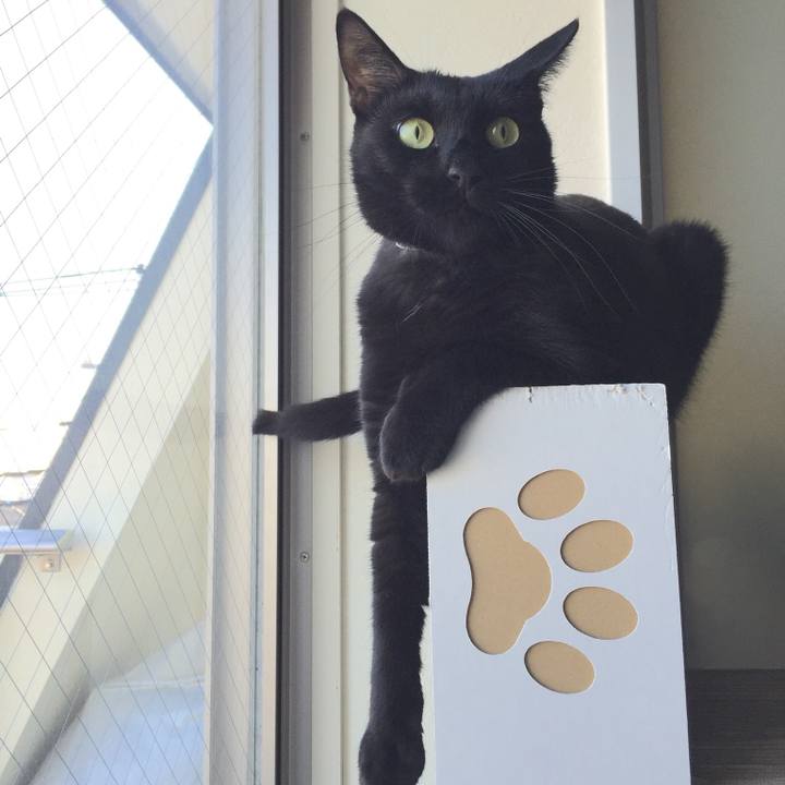 6d8ec438 e333 408c 99d1 858a112845e1