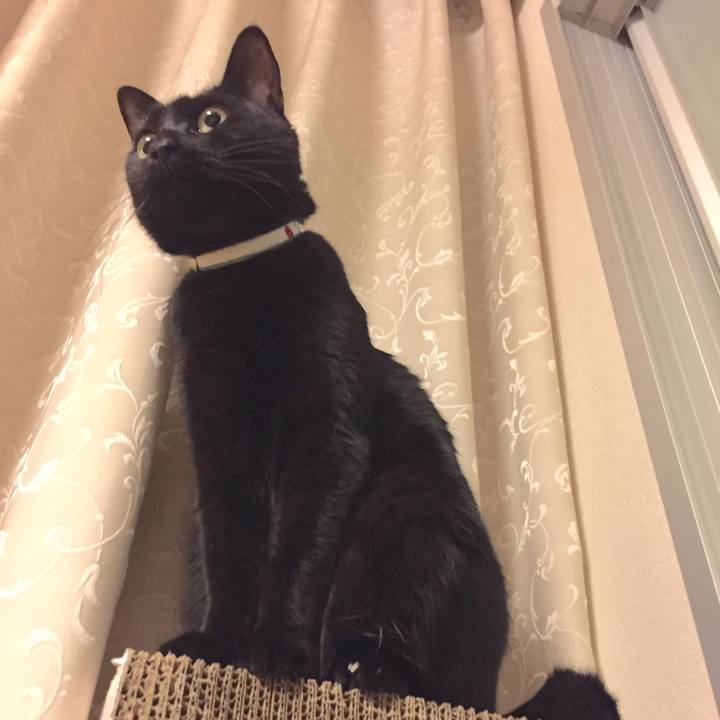 6d904c16 b4f3 44e1 a091 beb42ddedc4e