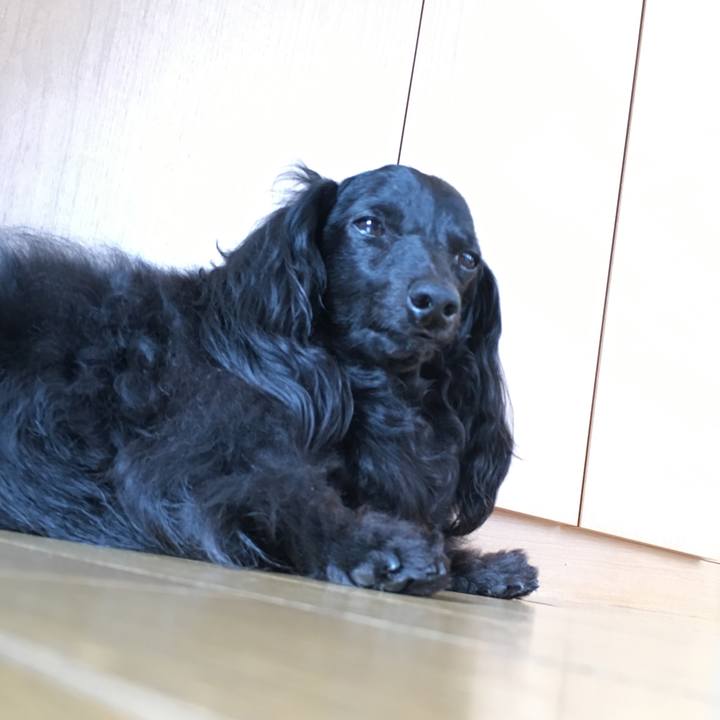 6d909aa5 d418 416a 852b d1905effd0ac