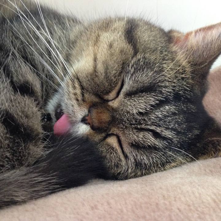 6d909b2c 4867 4eb1 88f0 2f782fdf8017