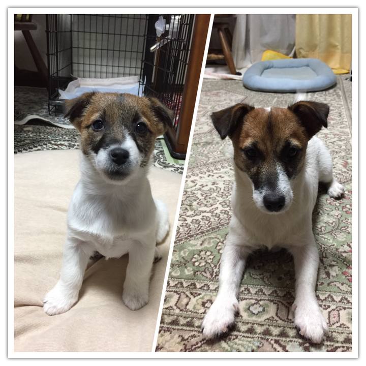 6d90c2fc f7de 4e9a 816c 8a8004e38563